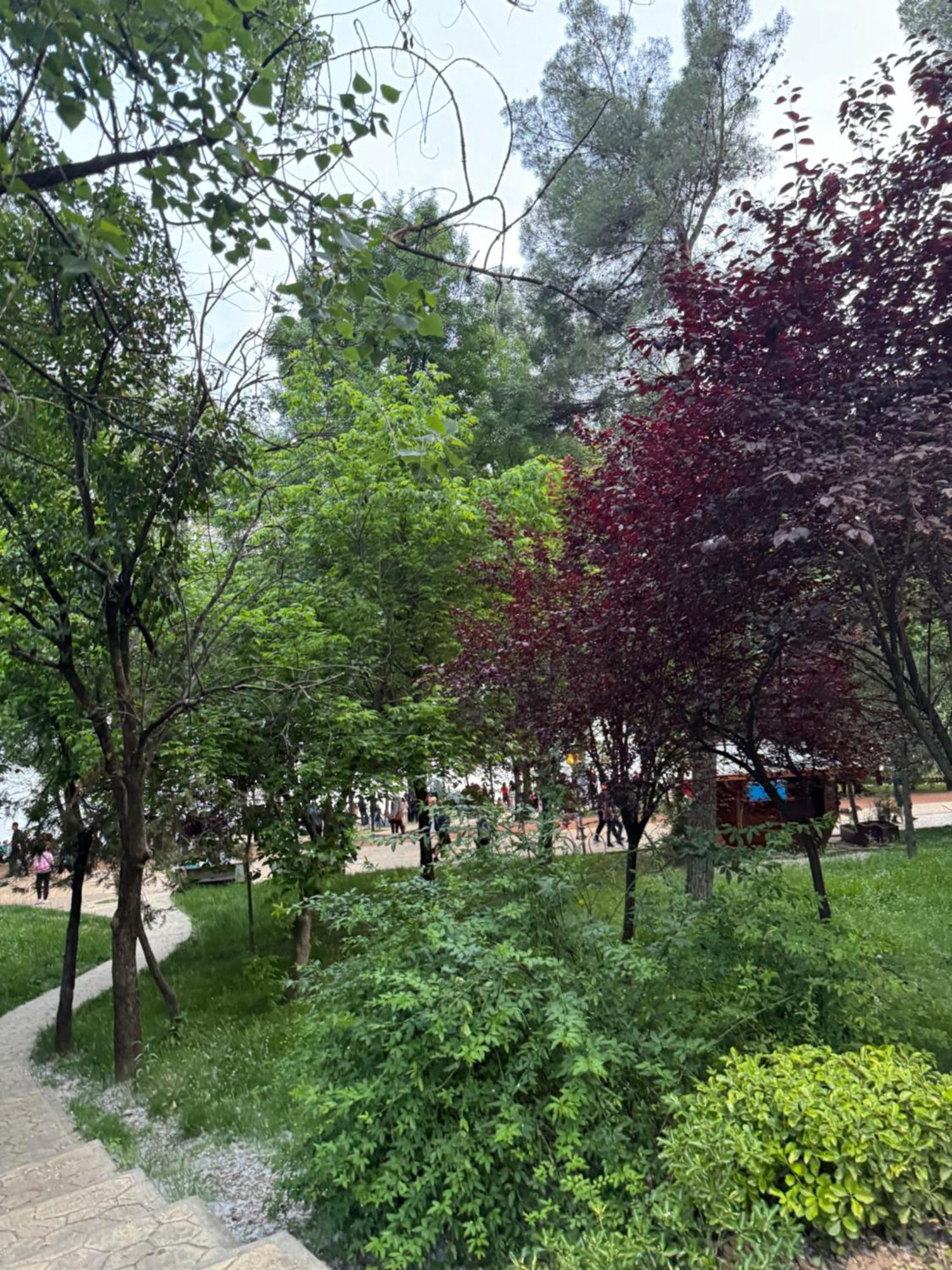 View Premium